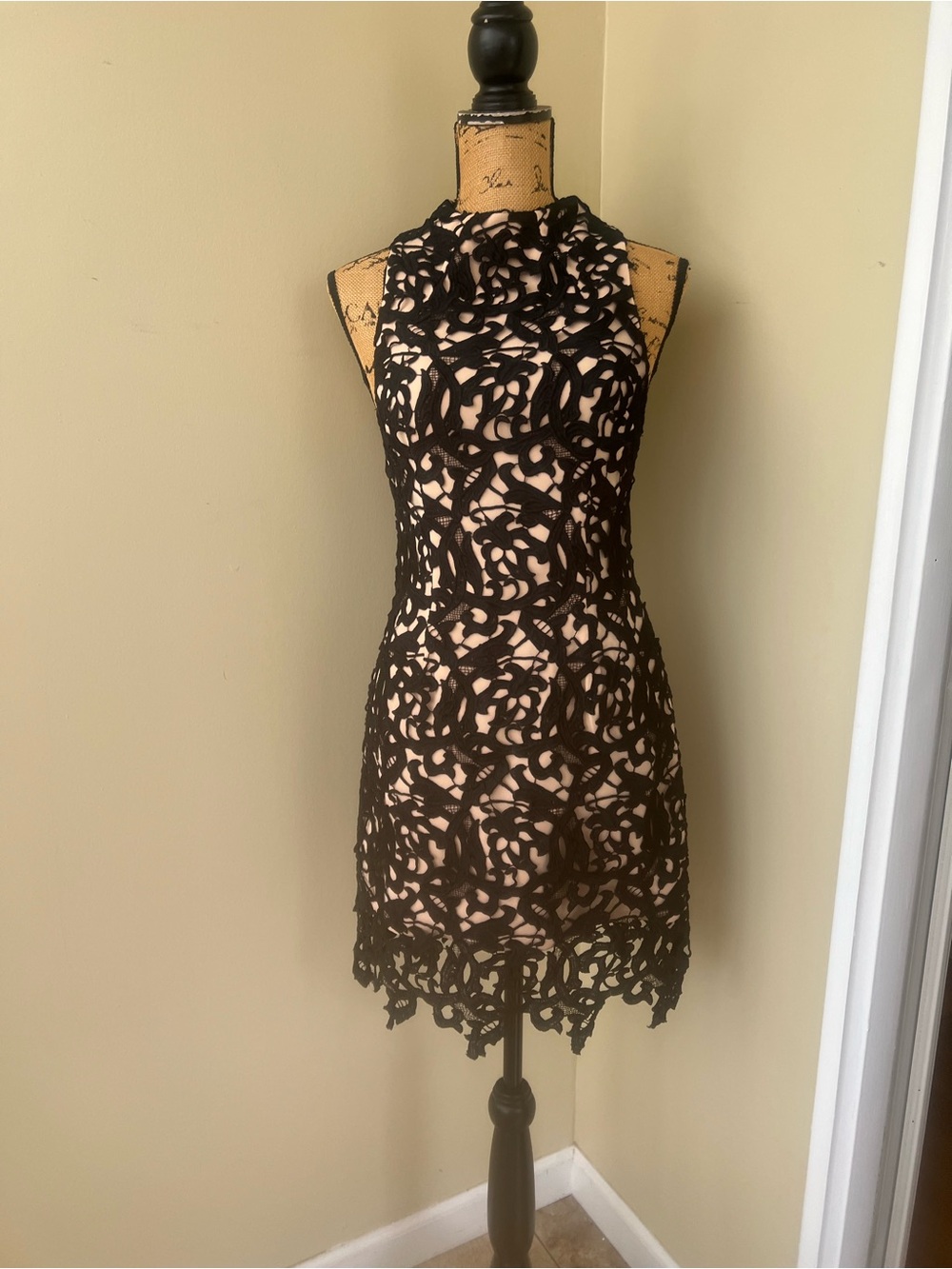 Cameo  Black and Nude Lace Overlay Sheath Dress